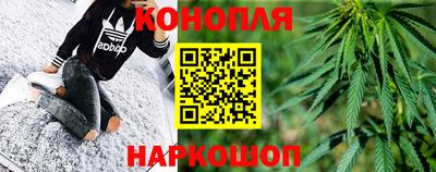 гидра Тверь