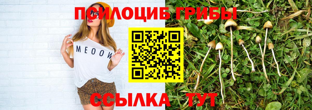 Галлюциногенные грибы Psilocybine cubensis Нефтеюганск